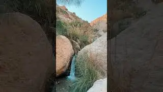 Have you explored the oasis of the Judean Desert - - Ein Gedi!