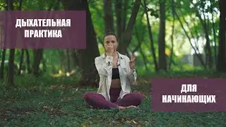 Дыхательная практика для начинающих Нади Шодхана