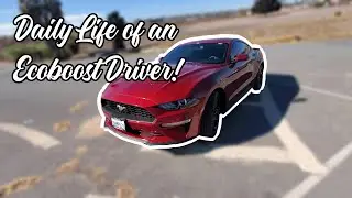 Project Ecoboost: Daily Driver! (POV, Exhaust & BOV Noises, Driving Style)