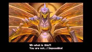 Rogue Galaxy - Final Boss: Mother