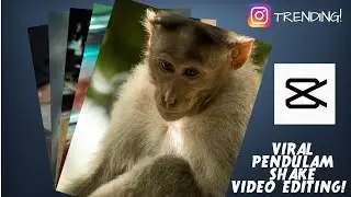 How to make Instagram Trending PENDULUM EFFECT video editing
