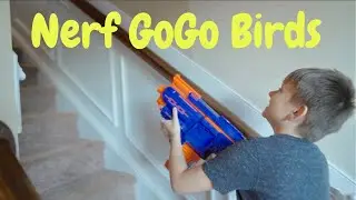 GoGo Birds Nerf Battle