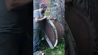 Sawmill blades #shorts