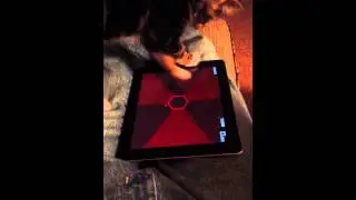 Kitten iPad gaming