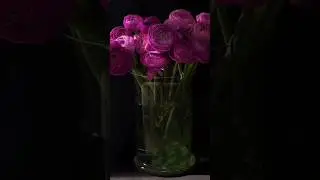 Просто Люблю | Красивые Видео #shorts #fyr #psicologia #relax