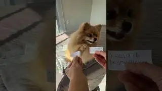 Плохо, когда не умеешь читать!