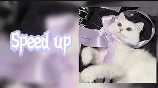 ~АКУЛИЧ, Молодой Платон - Подарок {speed up}~🎧💋