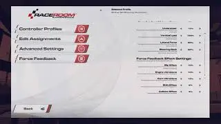 RaceRoom Force Feedback Settings 🚘SUBSCRIBER REQUESTED: SHARING MY DIRECT DRIVE FFB SETTINGS🚘