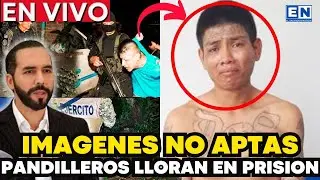 MY GOD, DON'T WATCH THIS IF YOU'RE SENSITIVE. BUKELE DESTROYS THE MARAS AND GANGS IN EL SALVADOR
