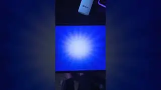 ВИТАЛ ШАРК КУПИЛ МЕЛОДИ