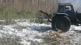 Мтз 82 на делянке вытаскивает деревья.