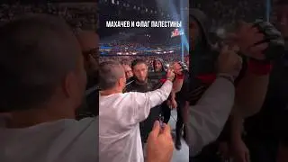 Ислам Махачев с флагом Палестины на UFC 294 в Абу-Даби
