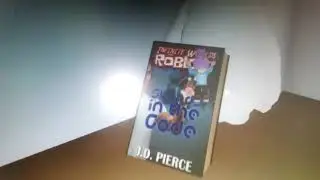 Играю в hide and seek в роблоксе