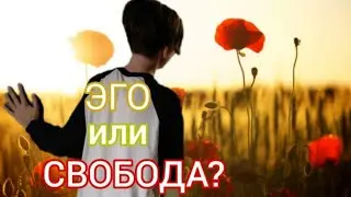 Когда эго исчезает, остаётся свобода