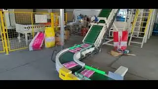 secondary packaging for corn seed/primary packaging/automatic packaging machine/seed packing machine