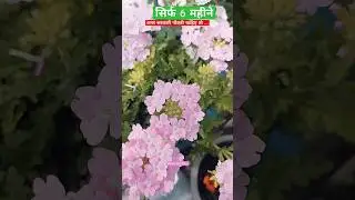 सिर्फ 6 महीने और Government Job पक्की - कर के तो देखो
