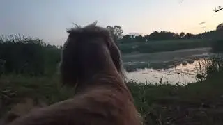 Слияние Угры и Вори