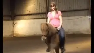 Learning to ride the pony