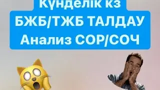 КҮНДЕЛІК КЗ ТІКЕЛЕЙ БЖБ/ТЖБ талдауын алу/АНАЛИЗ СОР/СОЧ