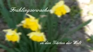 Frühlingserwachen in den Gärten der Welt mit WoHer - Art