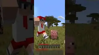 Minecraft, but if you like the video, I double it 