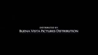 Buena Vista Pictures Distribution/Touchstone Pictures (1999)