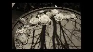 Usha Bala Elo - Sri Chinmoy