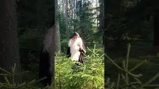 Тишина у нас в лесу ? А у вас ? 
