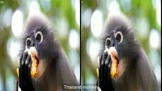 THAILAND  3d Vision | 3D SBS virtual reality video