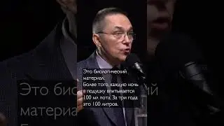 Неприятная правда про перьевые подушки