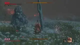 Sekiro final boss no death