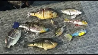 Bluegill swimbaits, a simple approach!