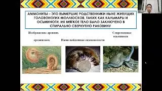 Валерий Пономарев - 6.1 Науки о Земле (география и геология) / 