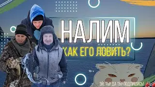 How to catch burbot in Karelia? What are the benefits of burbot? 