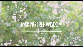 Making Tree Wisdom - Tutorial 1: Controlling lines in VideoScribe