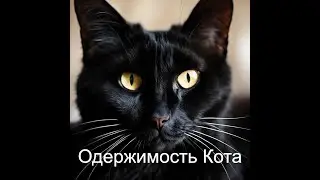 INTRODUCING THE SOUL INTO THE CAT