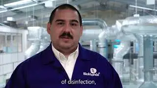 What we do | Behind the Scenes at BioMonde