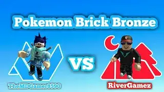 Pokemon Brick Bronze | He wanted double battle alot