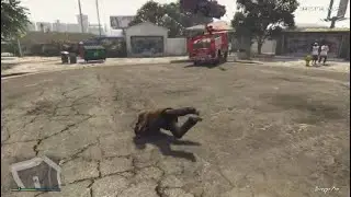 Grand Theft Auto V: Random Moments
