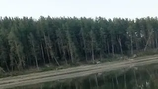 Kiron4ik в прямом эфире. Рыбалка