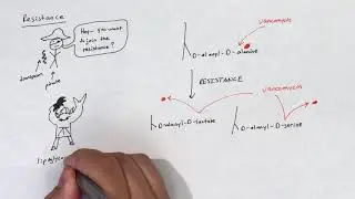 Glycopeptides and lipoglycopeptides