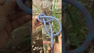 The King of Knots  #knotskill #knot #bowlineknot