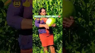 chulada es el campo🍉🌽🤠👍