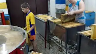 Откачка мёда 2019, цех по откачке.