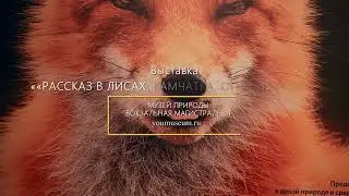 Выставка «Рассказ в лисах. Камчатка. Огненный лис»