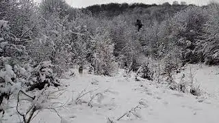 Зимова казка ❄️ в Карпатах.. 👍