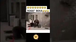 Приколы 2022 #прикол #ржач #рек #приколы2022