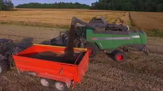 Rapeseed / Oilseed Harvest 2020 / Strip-till Seed Drill / Laumetris