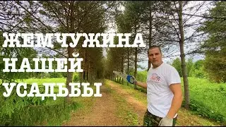 #151. Всего понемногу. Лето в деревне:) [Жизнь на своей земле]
