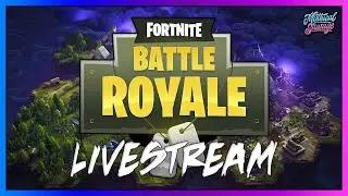 fortnite stream საძმოსთან ერთად